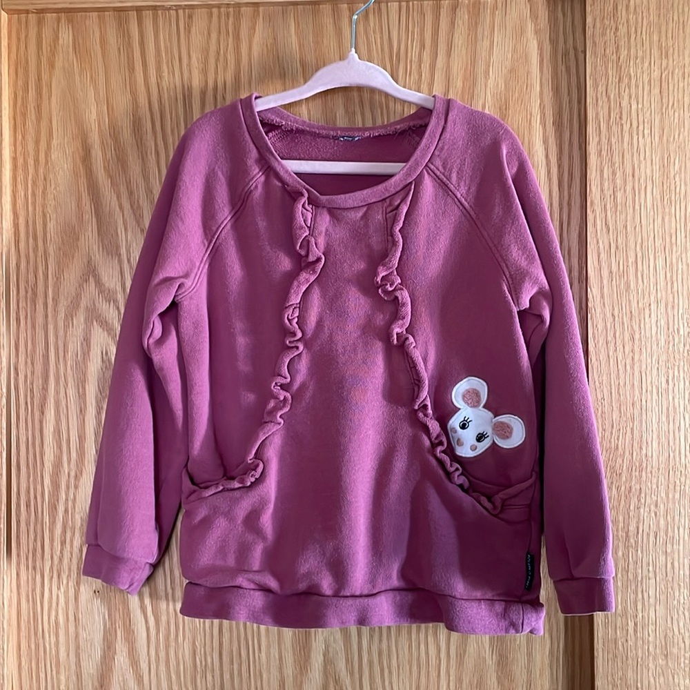 Polarn o Pyret girls sweatshirt 2-3T